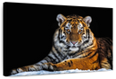 Tiger Snapshot Wall Art