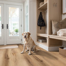 Laurel Scandi 9"x48" 20MIL Rigid Core Luxury Vinyl Plank Flooring - MSI Collection