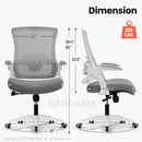 Ergonomic High Back Office Chair With Lumbar Support