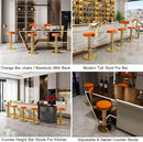 Modern Adjustable Counter Height Bar Stools with Back