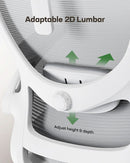 Ergonomic Mesh Office Chair With Adjustable Lumbar Support