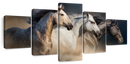 Magnificent Horses Wall Art