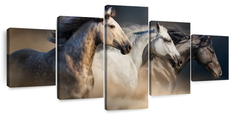 Magnificent Horses Wall Art