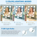 Lighted Makeup Vanity Mirror 14 Inch With 3 Color Modes