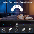 Queen Gel Memory Foam Mattress Cooling Technology CertipurUS