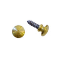 Tiny Brass Knob