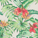 Red Exotic Flowers Wallpaper