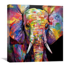 Baby Elephant Canvas