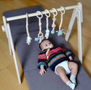 Baby Play Gym & Hanging Toys