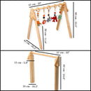 Montessori Baby Gym & Hanging Toys Set | Wooden Play Gym for Babies