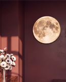 Bader Wall Lamp