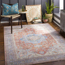 Brown Bagamanoc Medallion   Area Rug - Clearance