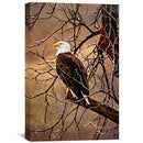 Bald Eagle Canvas