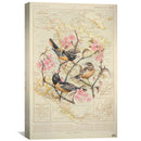 Baltimore Oriole Canvas