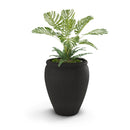 Bambino Planter