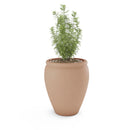 Bambino Planter