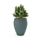Bambino Planter