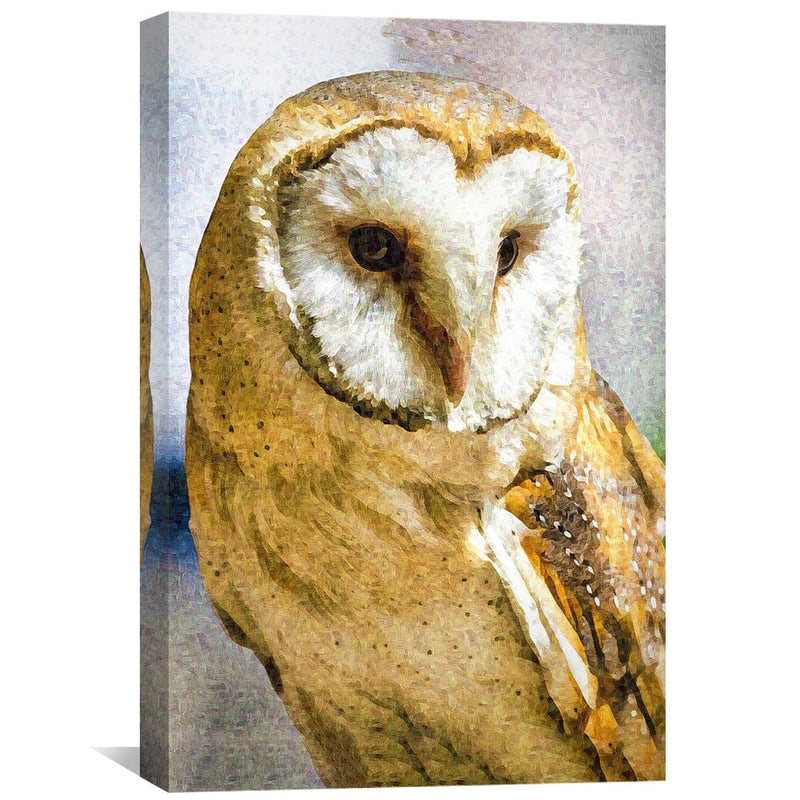 Barn Owl Canvas