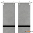 Planum 0012 Concrete Double Barn Door and Silver Rail