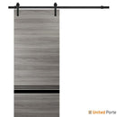 Planum 0012 Ginger Ash Barn Door and Black Rail