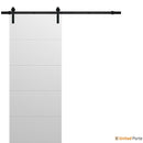 Planum 0770 Painted White Matte Barn Door and Black Rail