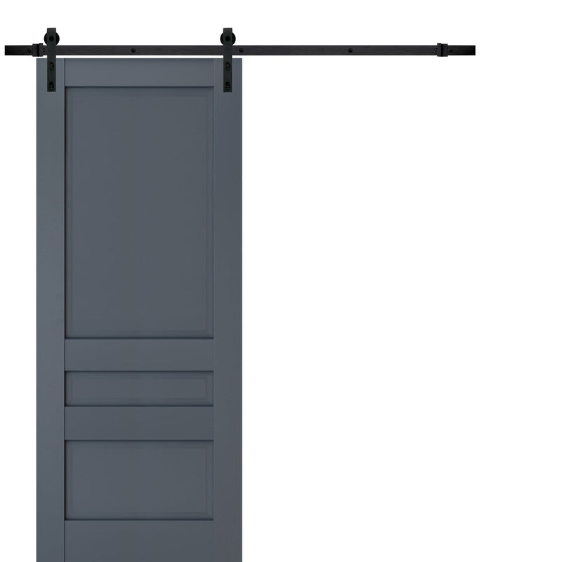 Veregio 7411 Antracite Barn Door and Black Rail