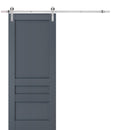 Veregio 7411 Antracite Barn Door and Silver Finish Rail