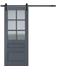 Veregio 7339 Antracite Barn Door with Frosted Glass and Black Rail