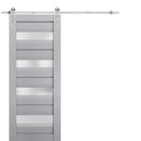 Veregio 7455 Matte Grey Barn Door with Frosted Glass and Silver Finish Rail