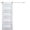 Veregio 7455 Matte White Barn Door with Frosted Glass and Silver Finish Rail