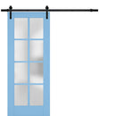Veregio 7412 Aquamarine Barn Door with Frosted Glass and Black Rail