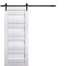 Veregio 7455 Matte White Barn Door with Frosted Glass and Black Rail