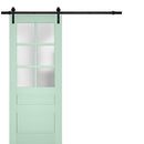 Veregio 7339 Oliva Barn Door with Frosted Glass and Black Rail