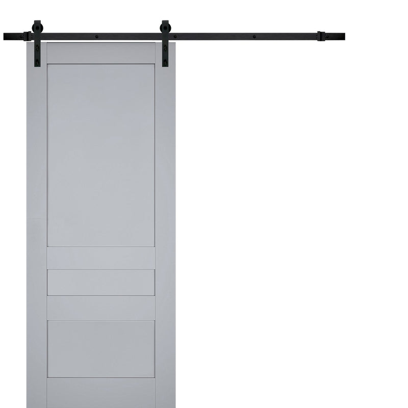 Veregio 7411 Matte Grey Barn Door and Black Rail