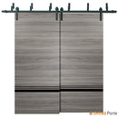 Planum 0012 Ginger Ash Double Barn Door and Black Bypass Rail