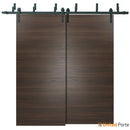 Planum 0010 Chocolate Ash Double Barn Door and Black Bypass Rail