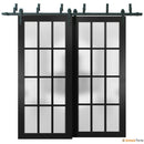 Felicia 3312 Matte Black Double Barn Door with Frosted Glass and Black Bypass Rail