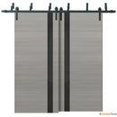 Planum 0040 Grey Ash Double Barn Door with Black Glass and Black Bypass Rail