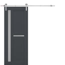 Veregio 7288 Antracite Barn Door with Frosted Glass and Silver Finish Rail