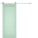 Veregio 7411 Oliva Barn Door and Silver Finish Rail