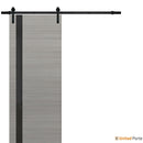 Planum 0040 Grey Ash Barn Door with Black Glass and Black Rail