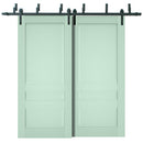 Veregio 7411 Oliva Double Barn Door and Black Bypass Rail