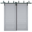 Veregio 7411 Matte Grey Double Barn Door and Black Bypass Rail