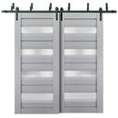 Veregio 7455 Matte Grey Double Barn Door with Frosted Glass and Black Bypass Rail