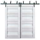 Veregio 7455 Matte White Double Barn Door with Frosted Glass and Black Bypass Rail