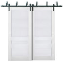 Veregio 7411 Matte White Double Barn Door and Black Bypass Rail
