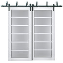 Veregio 7602 Matte White Double Barn Door with Frosted Glass and Black Bypass Rail