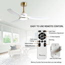 52 Inch Ceiling Fan With DC Motor And Remote Control