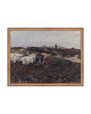 Sheep Flock