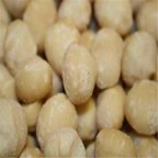 Macadamia Nuts, 5 Lb | Premium Quality Raw Macadamia Nuts